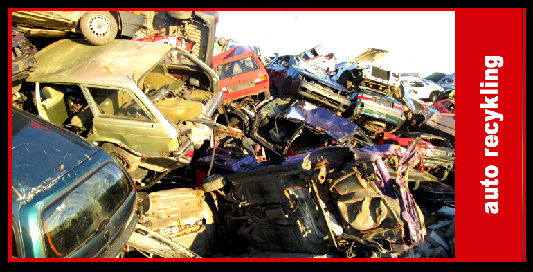 Wycena + transport aut z miasta Dzierżgoń